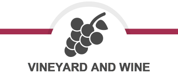 VINEYARD AND WINE